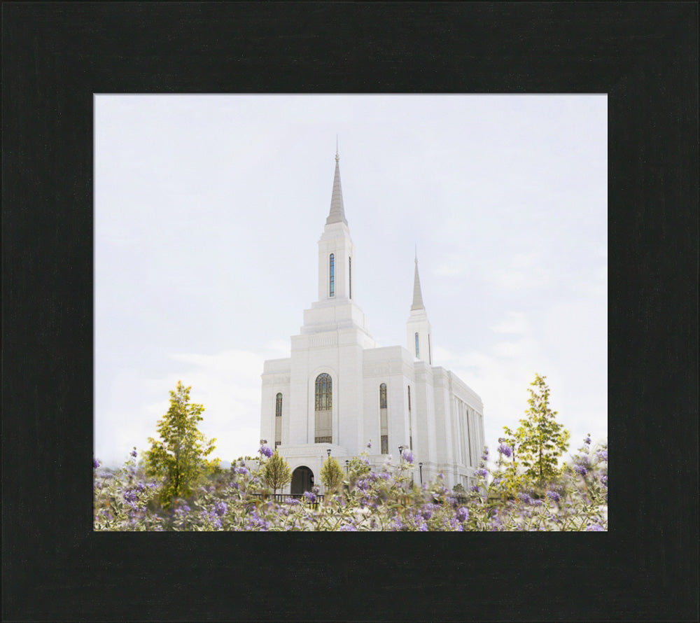 Lindon Temple - Peace and Purpose
