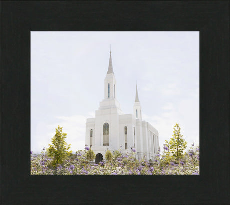 Lindon Temple - Peace and Purpose