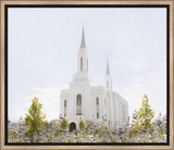 Lindon Temple - Peace and Purpose