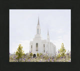 Lindon Temple - Peace and Purpose