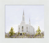 Lindon Temple - Peace and Purpose
