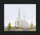 Lindon Temple - Peace and Purpose