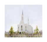 Lindon Temple - Peace and Purpose