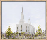 Lindon Temple - Peace and Purpose