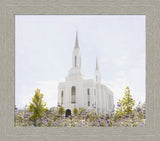 Lindon Temple - Peace and Purpose