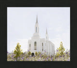 Lindon Temple - Peace and Purpose
