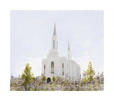 Lindon Temple - Peace and Purpose