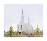 Lindon Temple - Peace and Purpose