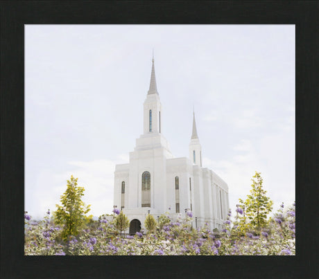 Lindon Temple - Peace and Purpose