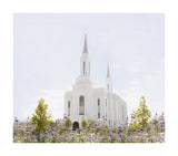 Lindon Temple - Peace and Purpose