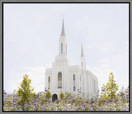 Lindon Temple - Peace and Purpose