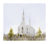 Lindon Temple - Peace and Purpose