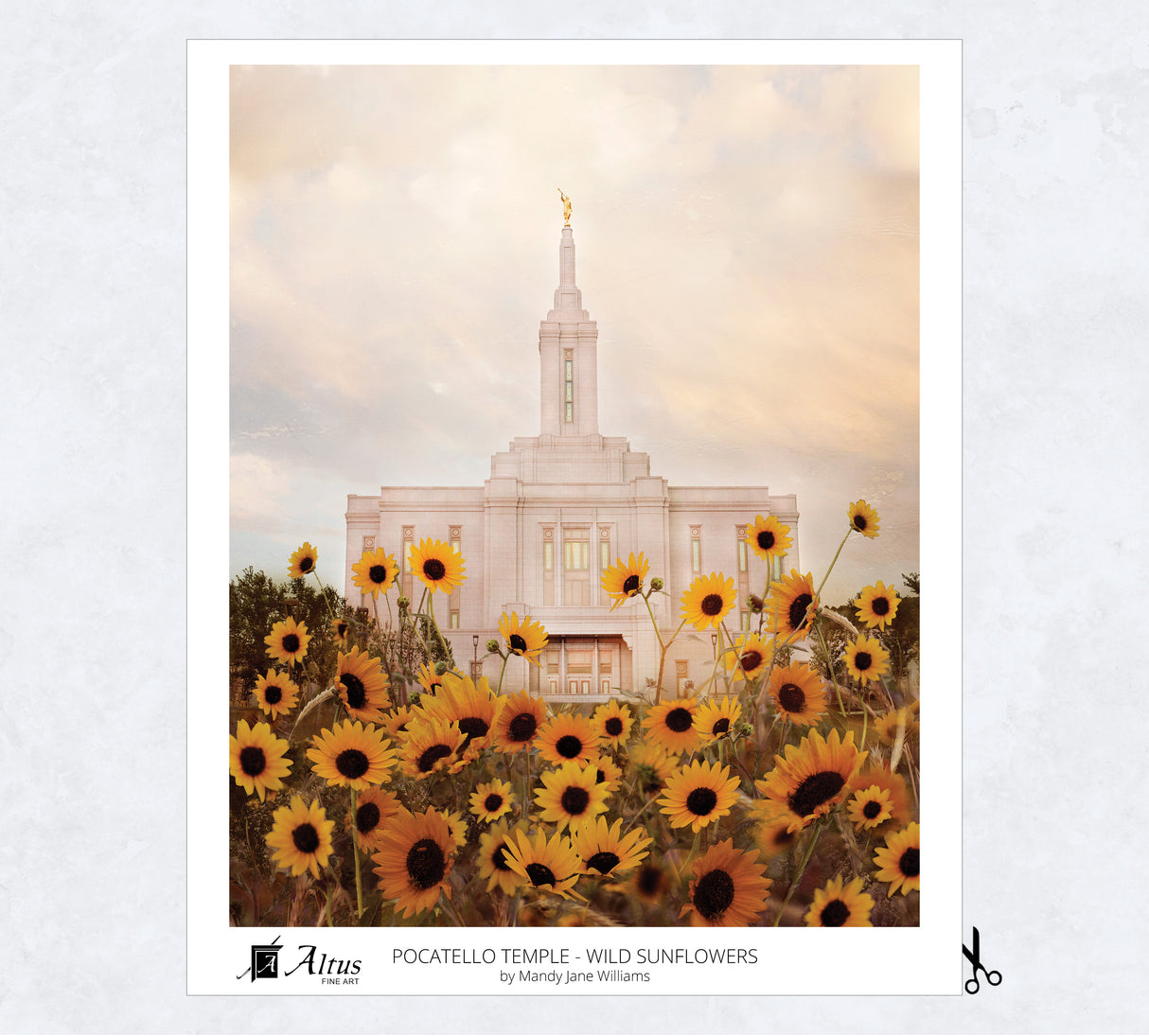 I Love to See the Temple Mandy Jane Williams 2026 Calendar