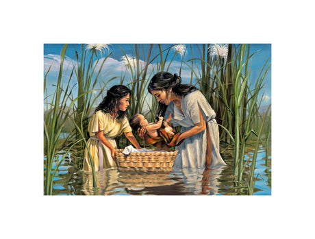 A Mother's Sacrifice