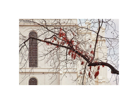 St George Temple - Red Leaves