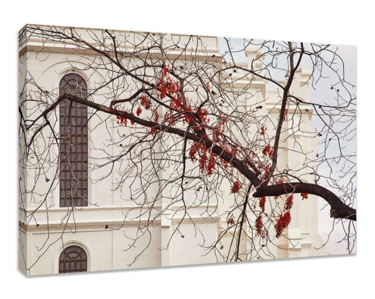 St George Temple - Red Leaves