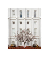 St George Temple - Arbor Alma