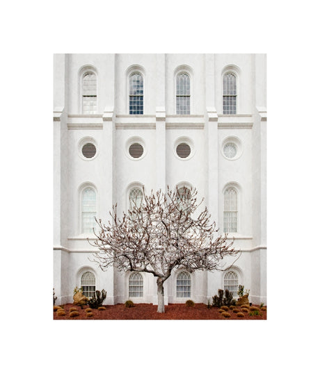 St George Temple - Arbor Alma