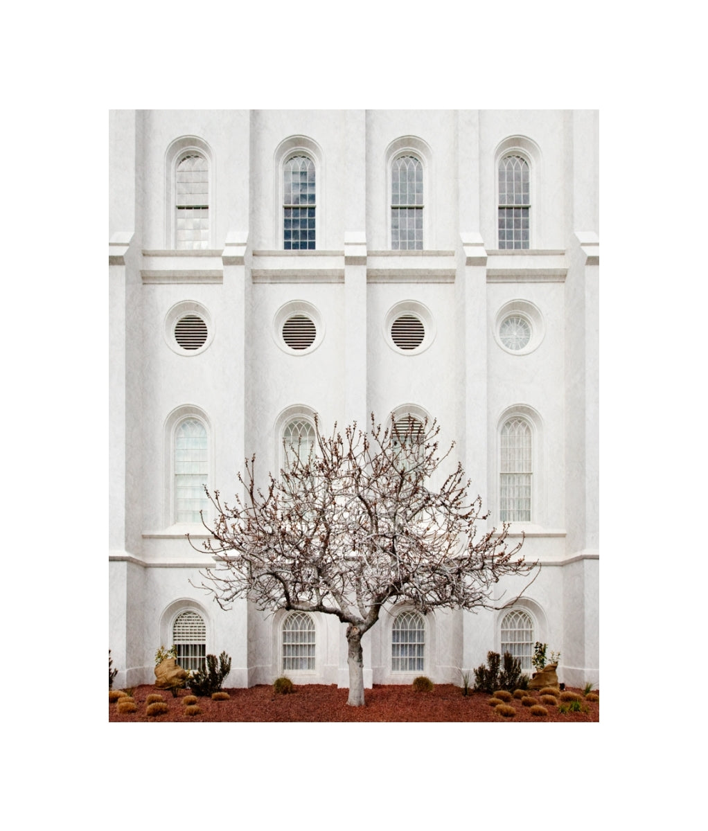 St George Temple - Arbor Alma