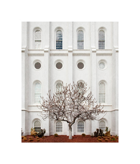 St George Temple - Arbor Alma