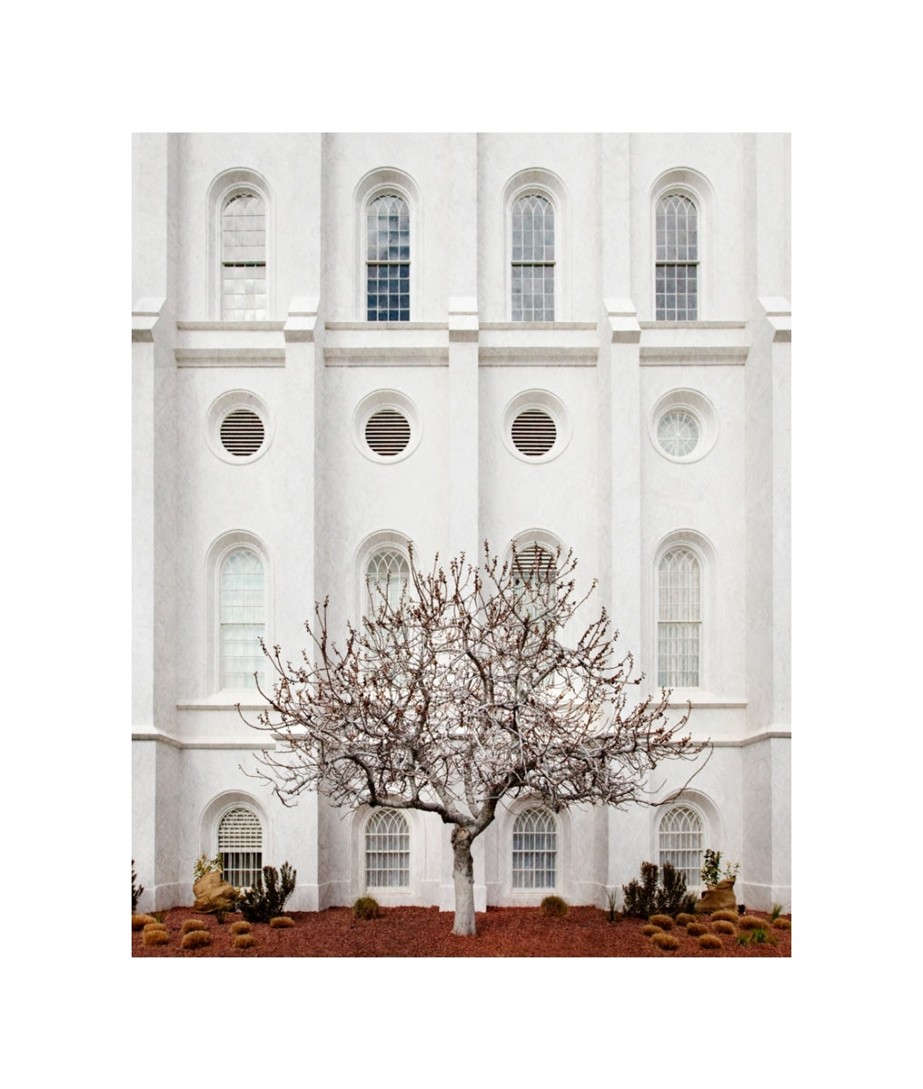 St George Temple - Arbor Alma