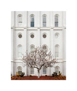 St George Temple - Arbor Alma