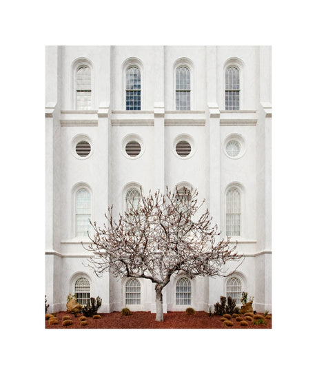 St George Temple - Arbor Alma