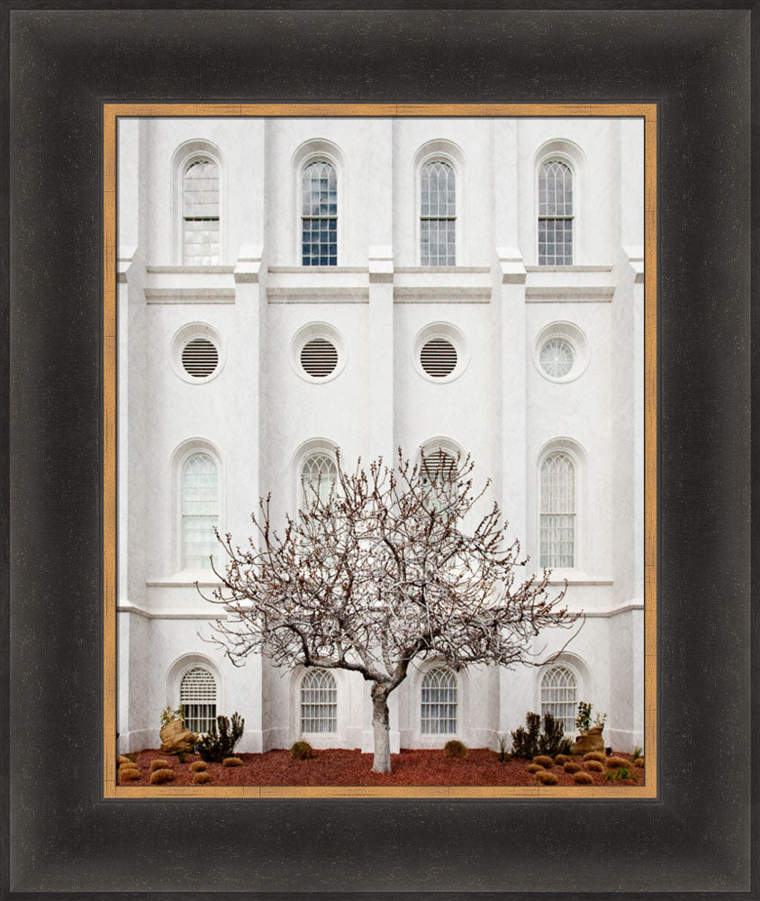 St George Temple - Arbor Alma by Robert A Boyd