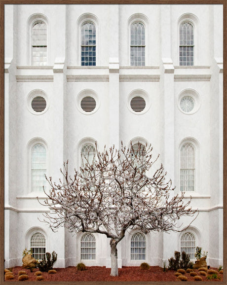 St George Temple - Arbor Alma by Robert A Boyd