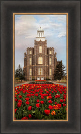 Logan Temple - Tulips by Robert A Boyd