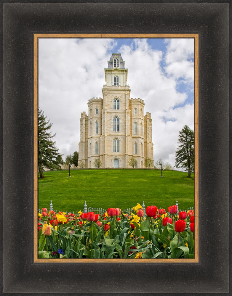 Manti Temple - Tulips and Grass by Robert A Boyd