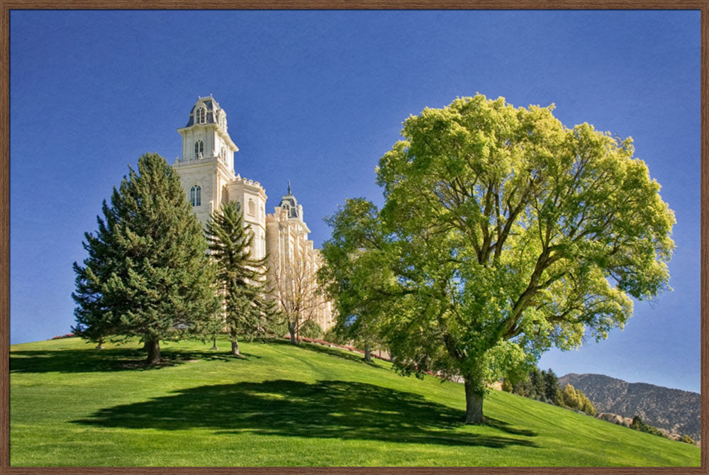 Manti Temple - Summer Tree by Robert A Boyd