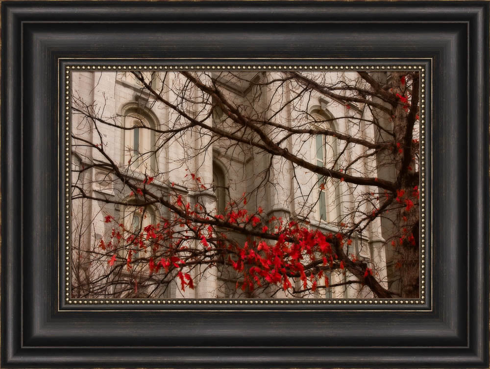 Salt Lake Temple - Amaranthine