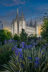 Photograph of the Salt Lake Temple lit up against a clear blue evening sky, with purple irises and green shrubs filling the foreground and a black iron fence bordering the garden