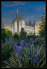 Salt Lake Temple- Garden Oasis
