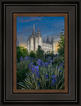 Salt Lake Temple- Garden Oasis