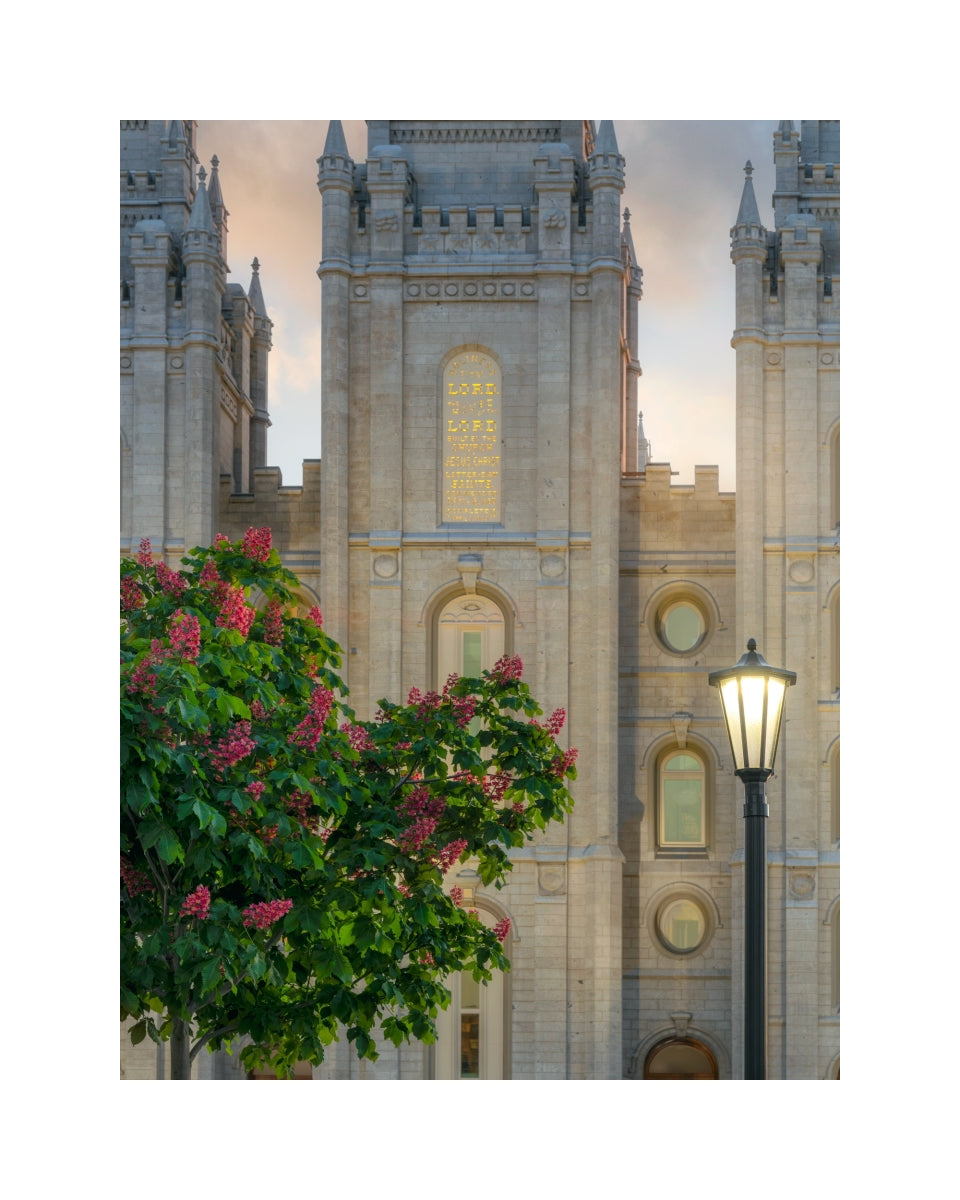 Salt Lake Temple- Covenant Promise