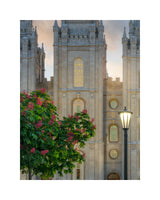 Salt Lake Temple- Covenant Promise