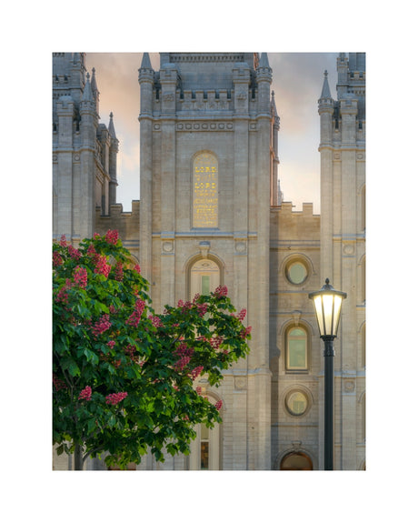 Salt Lake Temple- Covenant Promise