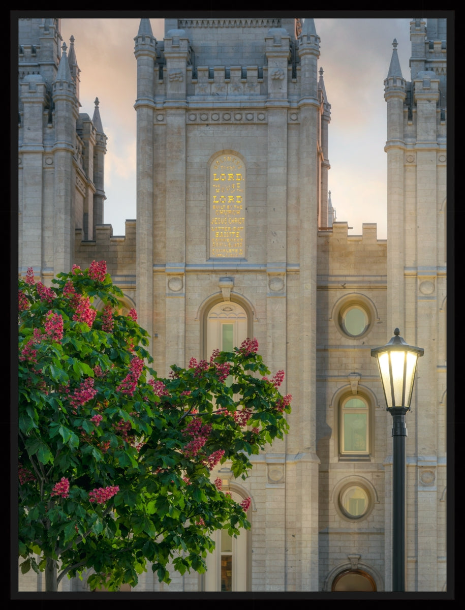 Salt Lake Temple- Covenant Promise