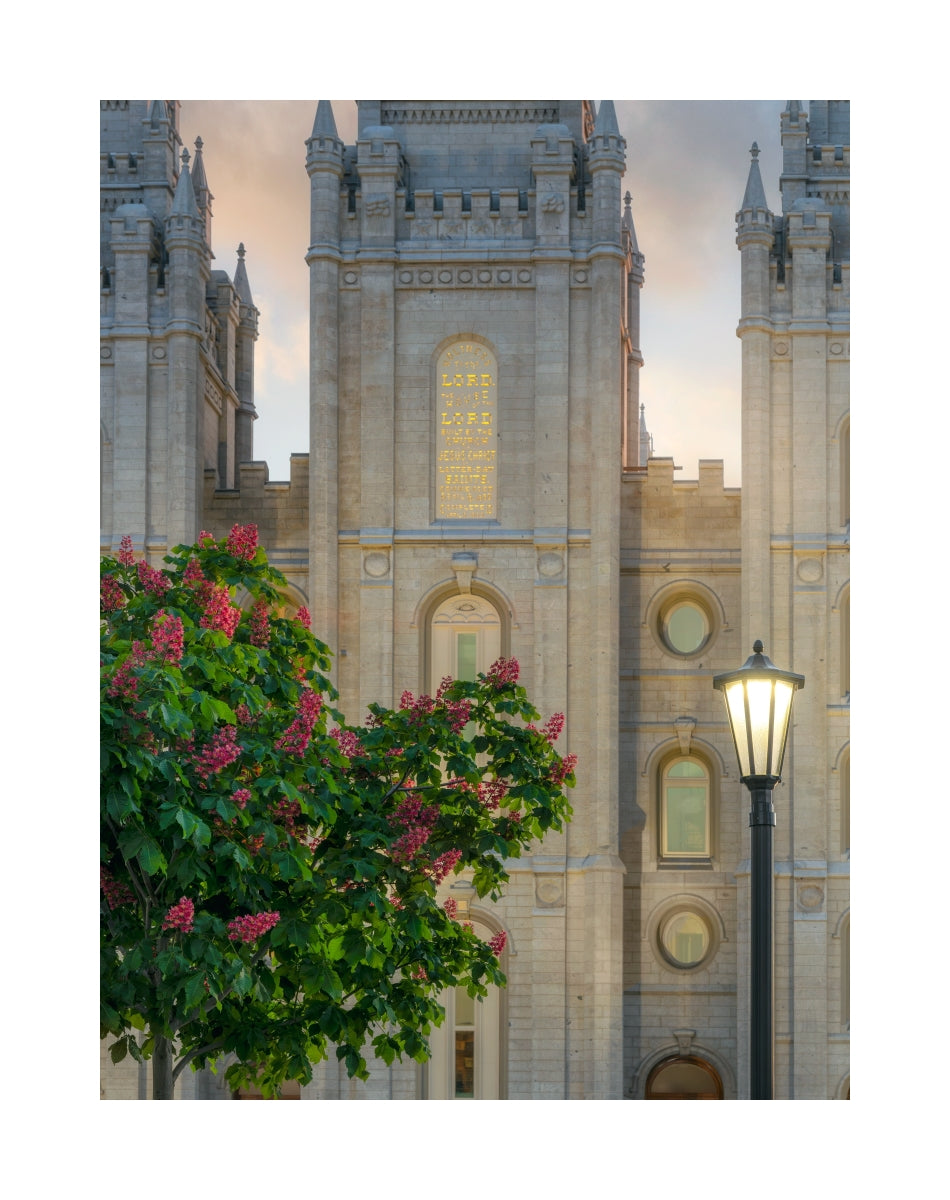 Salt Lake Temple- Covenant Promise
