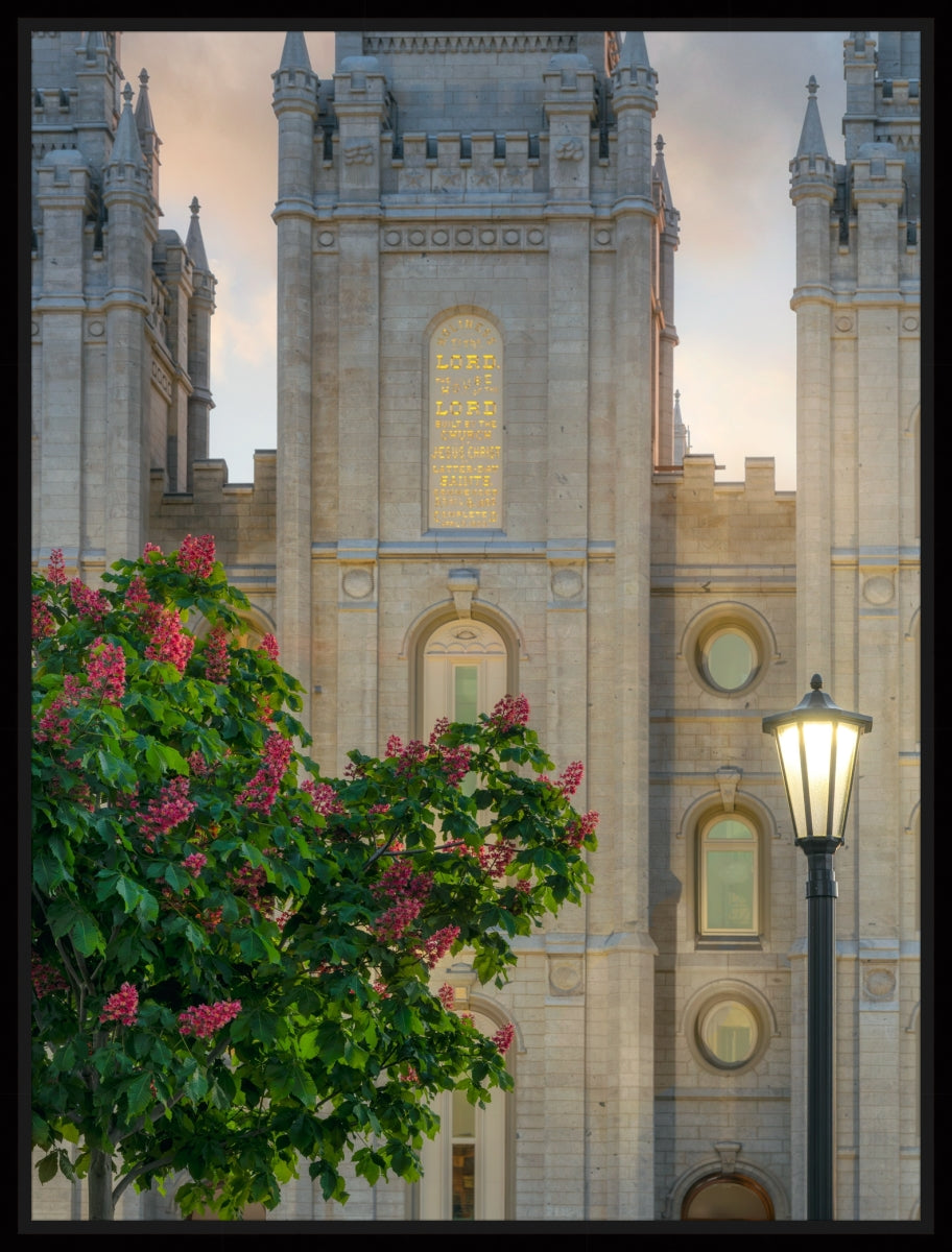 Salt Lake Temple- Covenant Promise