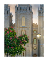 Salt Lake Temple- Covenant Promise