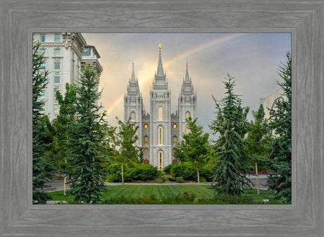 Salt Lake Temple - Covenant Blessings