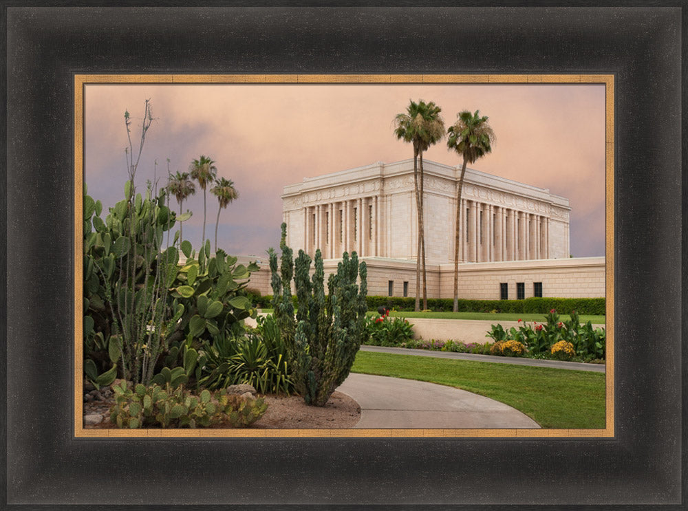 Mesa Temple - Cactus Path by Robert A Boyd