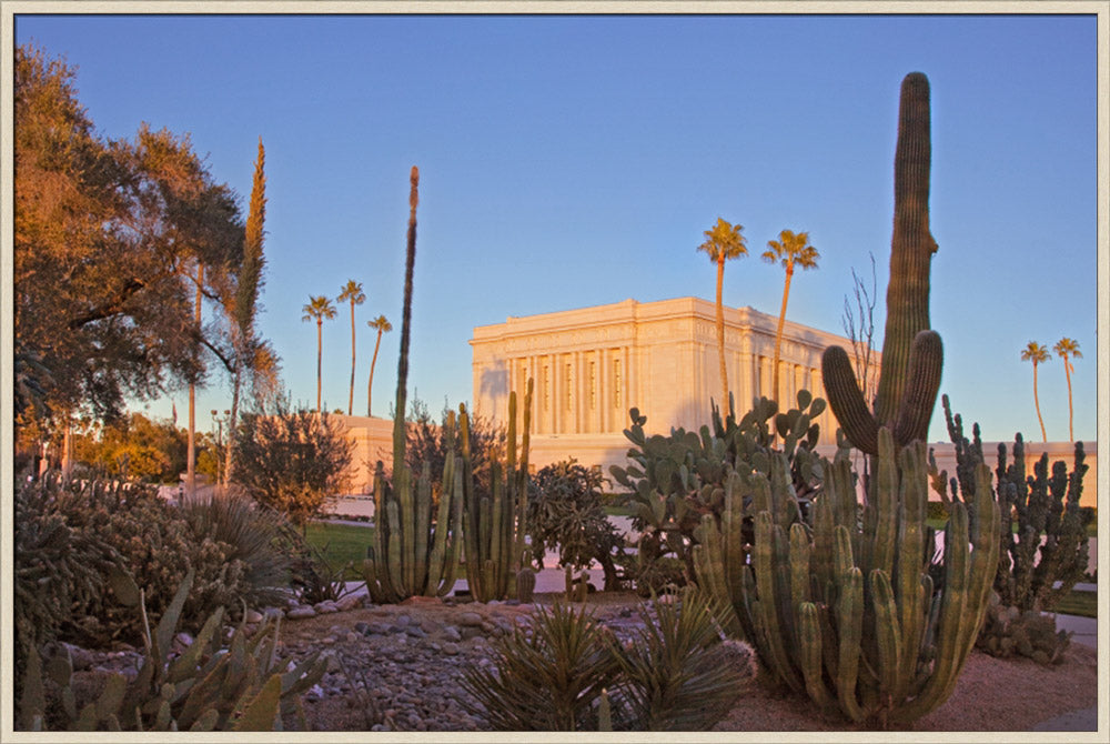 Mesa Temple - Cactus by Robert A Boyd