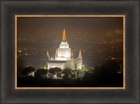 Oakland Temple - Night Vista by Robert A Boyd