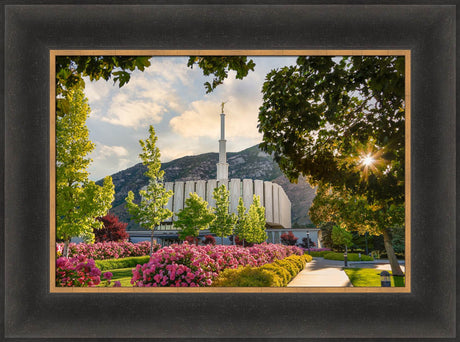 Provo Temple - Pink Roses by Robert A Boyd