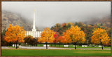 Provo Temple - Autumn Trees by Robert A Boyd