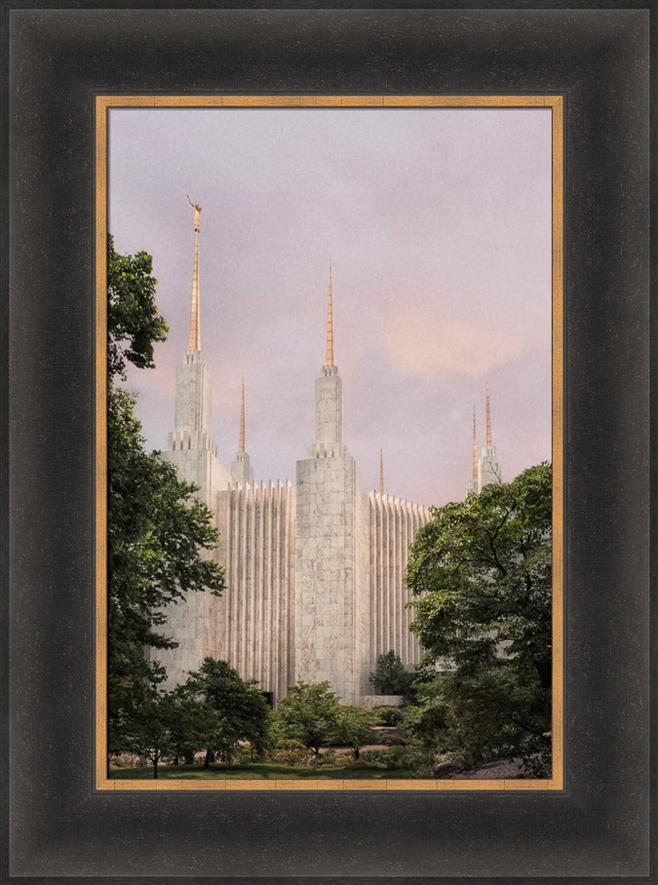 Washington DC Temple - Side Textured by Robert A Boyd